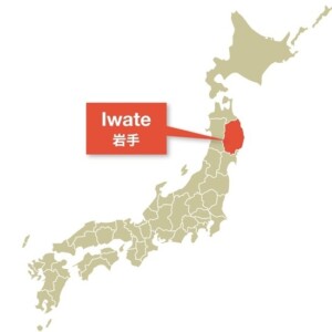 日本で一番経済的に豊かなのは岩手県！